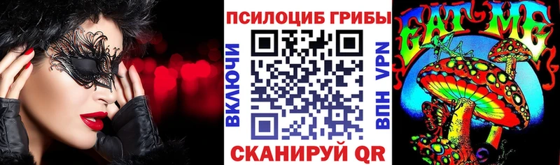 цены наркотик  Нурлат  Псилоцибиновые грибы Psilocybe 